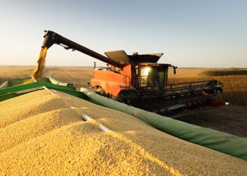 have-your-say-on-the-wwf’s-ambitious-attempt-to-overhaul-global-food-systems