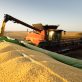 have-your-say-on-the-wwf’s-ambitious-attempt-to-overhaul-global-food-systems