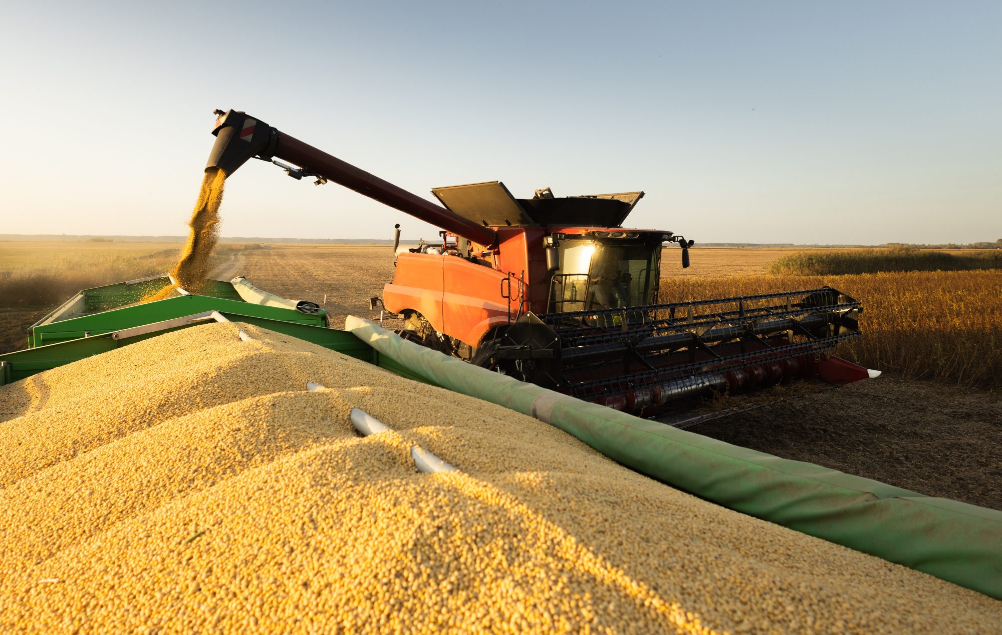 have-your-say-on-the-wwf’s-ambitious-attempt-to-overhaul-global-food-systems