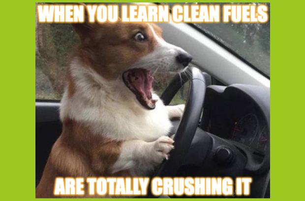 icymi:-clean-fuels-report-card-is-a+++