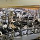 danone-and-starbucks-shine-in-rankings-of-methane-reduction-progress