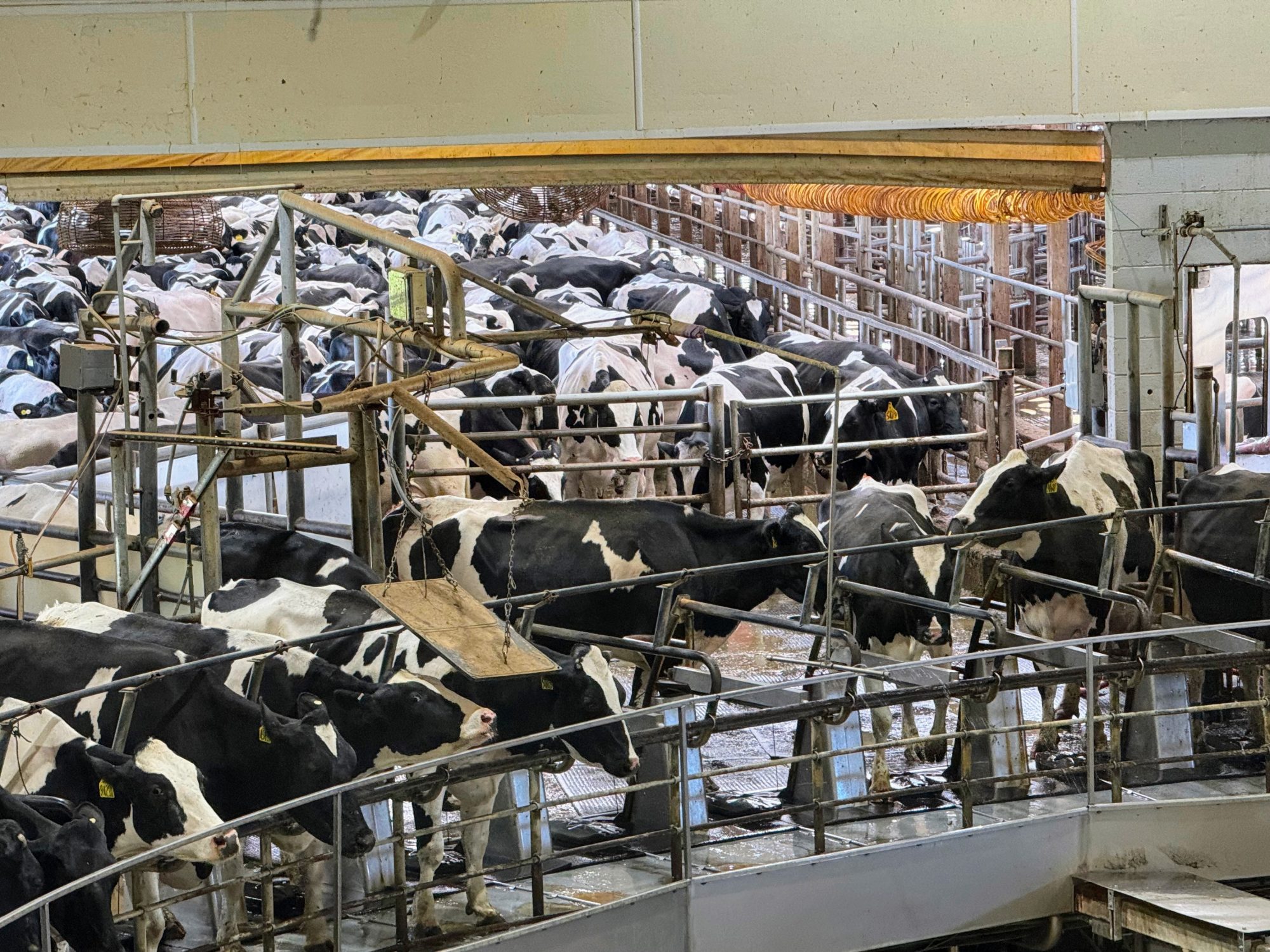 danone-and-starbucks-shine-in-rankings-of-methane-reduction-progress