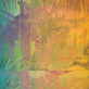 how-to-find-a-sustainability-role-you’ll-love-in-2026