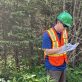 why-p&g,-maker-of-bounty-and-charmin,-hired-a-forester