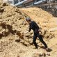 next-gen-fiber-solutions-emerge-as-forest-supplies-tighten