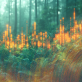 meet-the-2026-trellis-climate-tech-startup-of-the-year