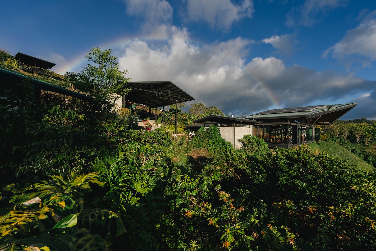 starbucks-reassesses-climate-goals-with-coffee-at-the-center 