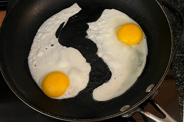 a-hybrid-in-your-kitchen—and-no-fancy-pans-required