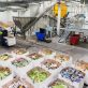 why-industrial-scale-food-waste-processing-is-booming