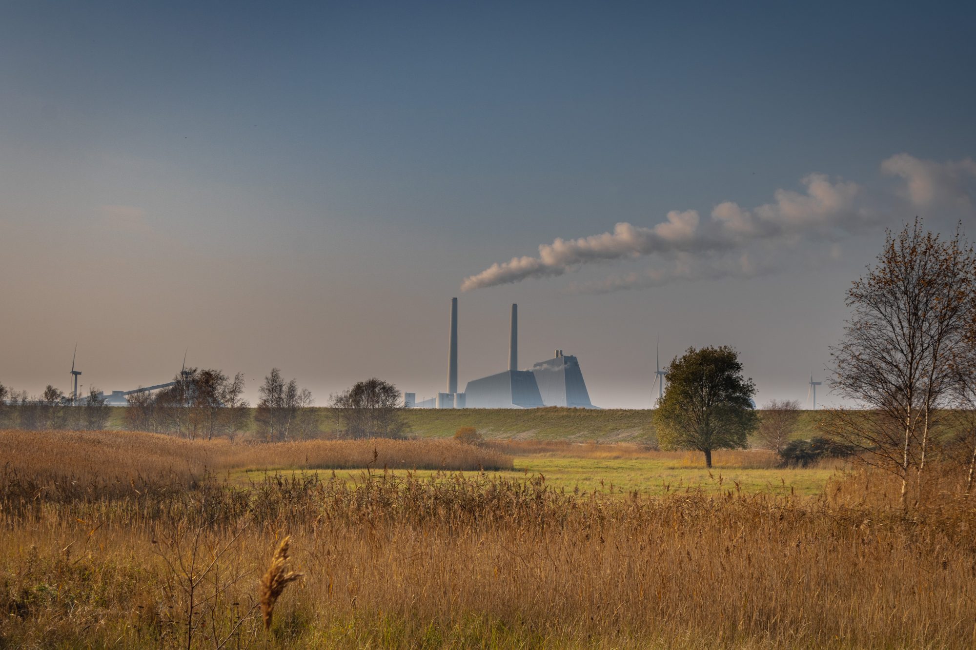 what-microsoft-learned-from-purchasing-millions-of-carbon-removal-credits