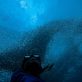 support-for-nature-based-climate-pledges-builds-slowly