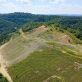 how-google,-mckinsey-and-others-got-finance-to-say-“yes”-on-nature-based-carbon-removals