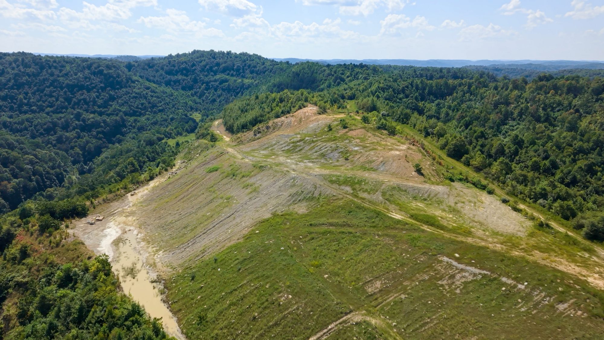 how-google,-mckinsey-and-others-got-finance-to-say-“yes”-on-nature-based-carbon-removals