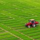 how-your-company-can-help-eliminate-harmful-subsidies