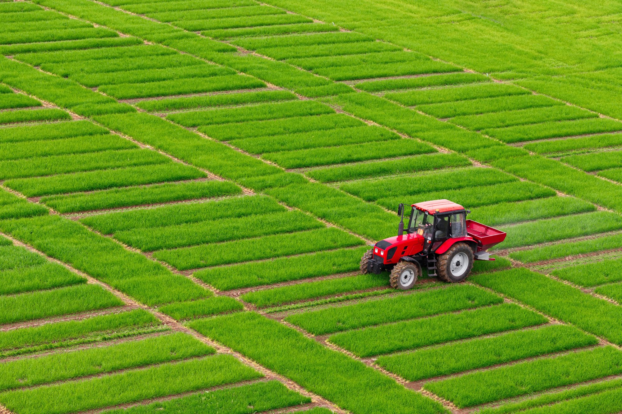 how-your-company-can-help-eliminate-harmful-subsidies
